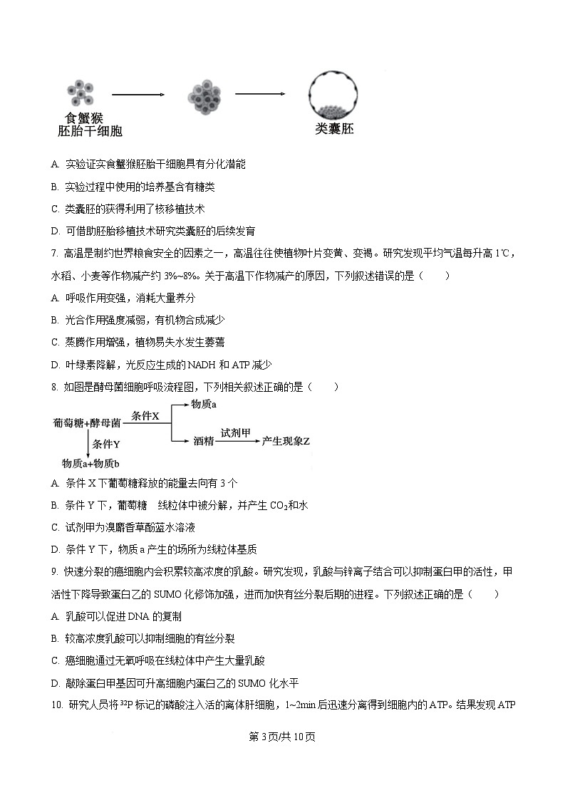 2025届四川省眉山市仁寿县四川省仁寿第一中学校（北校区）三模生物试题（原卷版）第3页