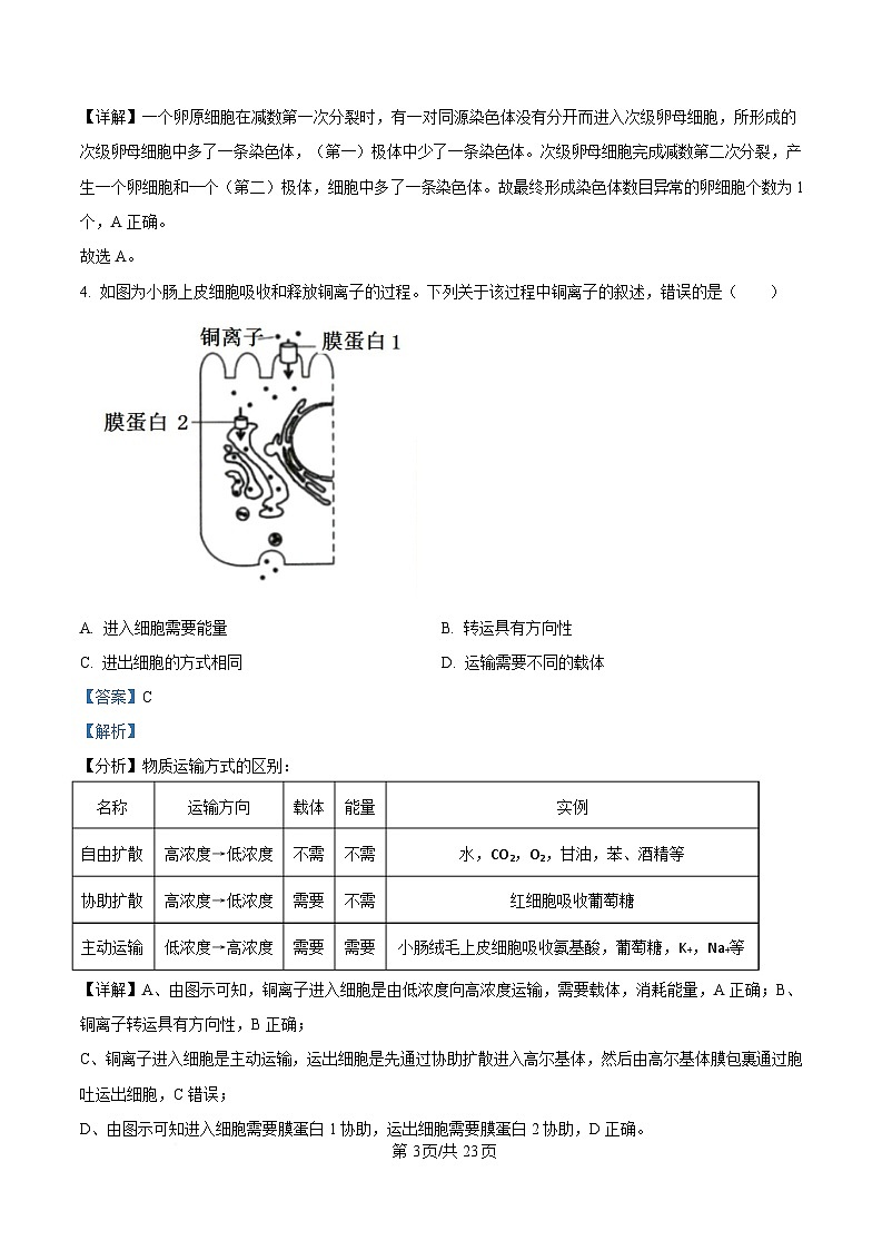 2025届四川省眉山市仁寿县四川省仁寿第一中学校（北校区）三模生物试题 Word版含解析第3页
