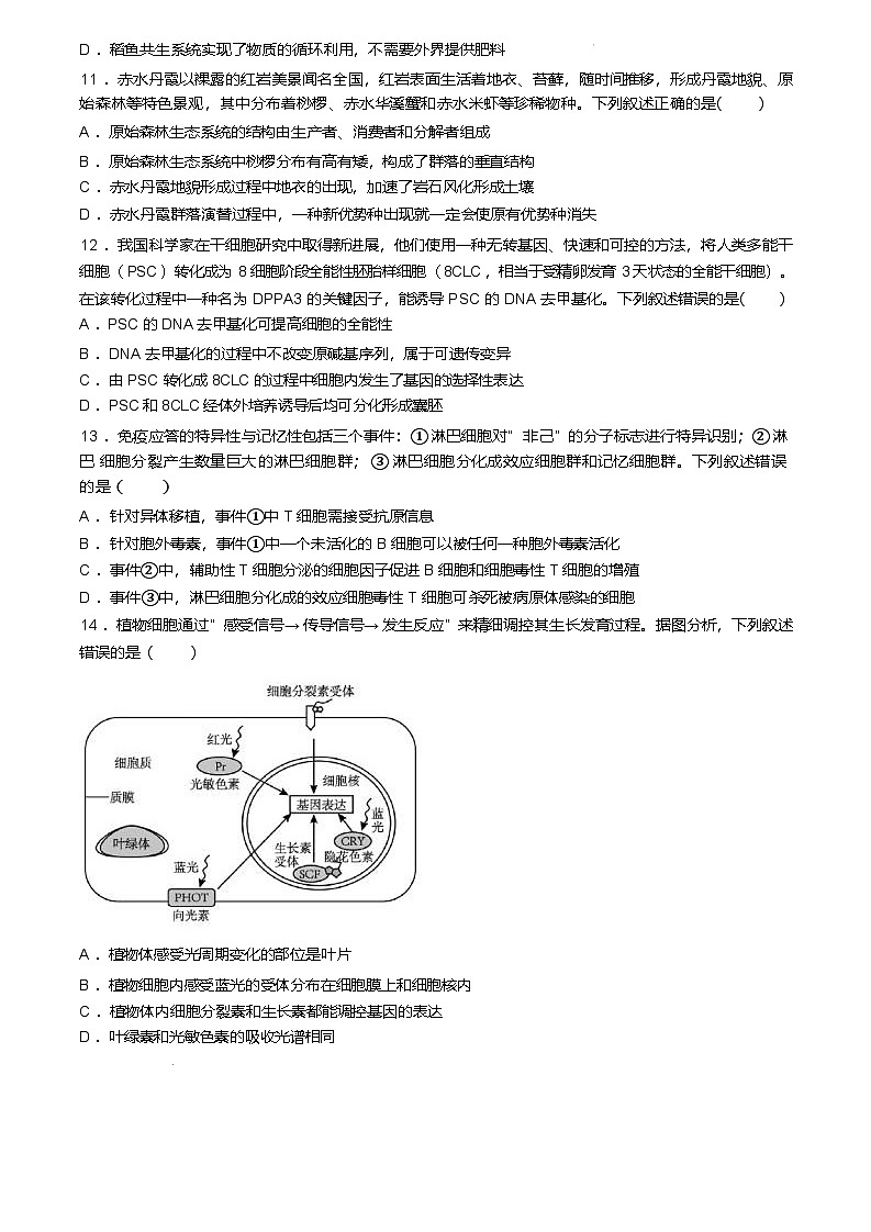 浙江省七彩阳光新高考研究联盟2024-2025学年高二下学期期中联考生物试题（Word版附答案）第3页