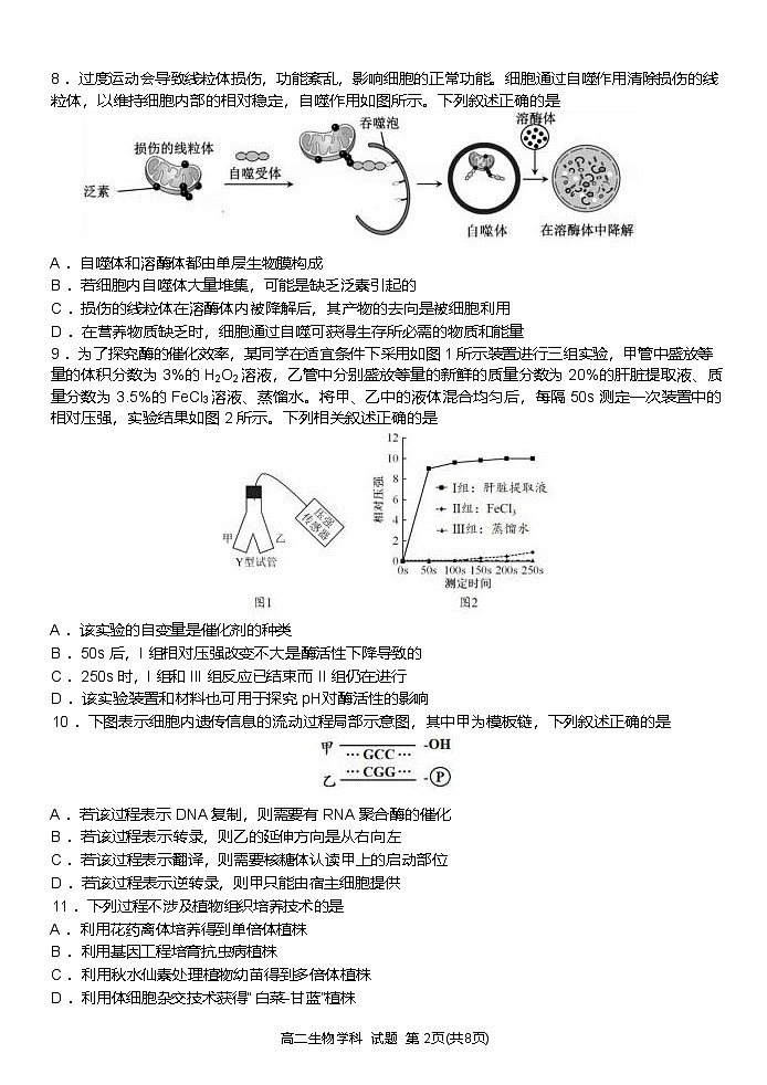 浙江省浙南名校联盟2024-2025学年高二下学期4月期中生物试卷第2页