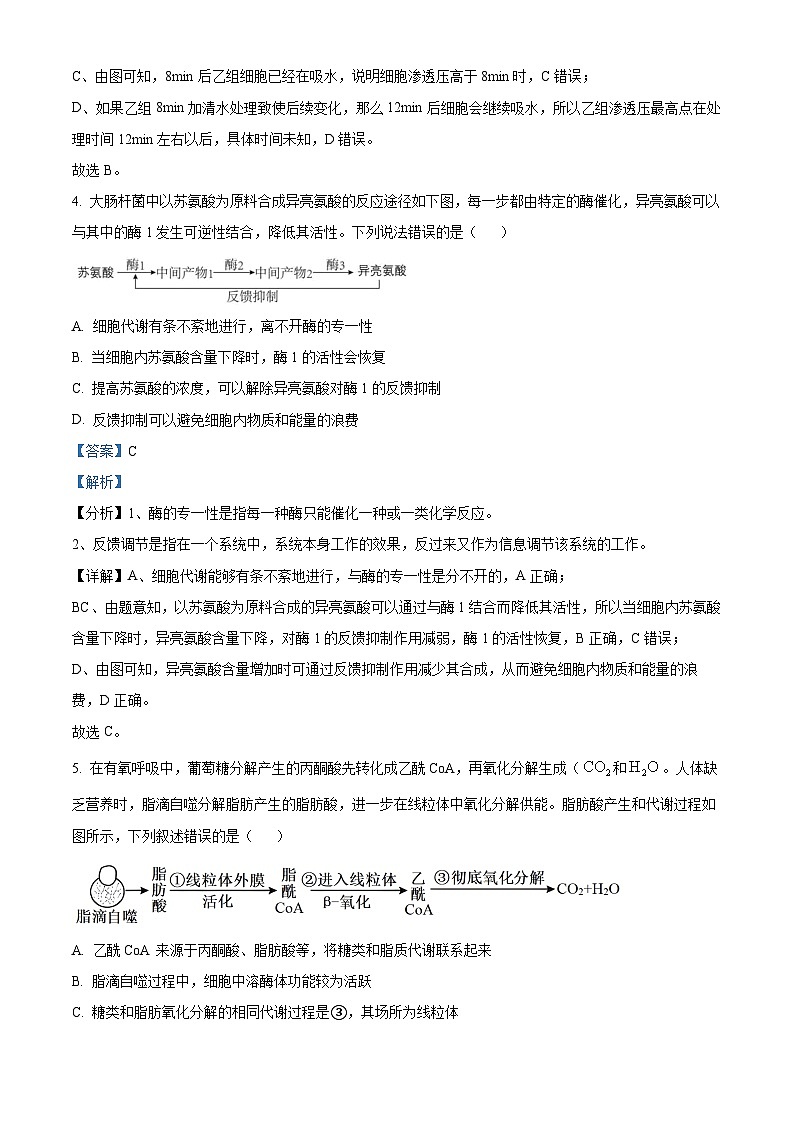 2025届重庆市第八中学高三模拟强化训练（一）生物试卷（解析版）第3页