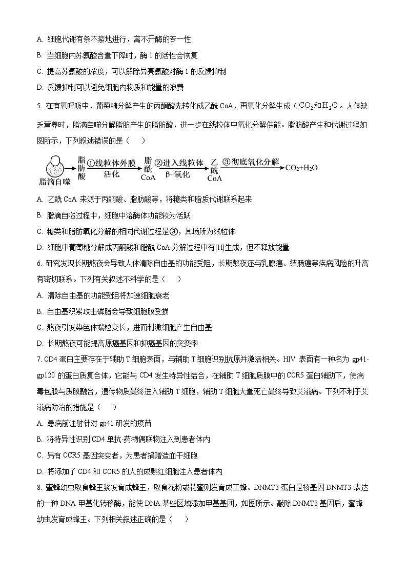 2025届重庆市第八中学高三模拟强化训练（一）生物试卷（原卷版）第2页
