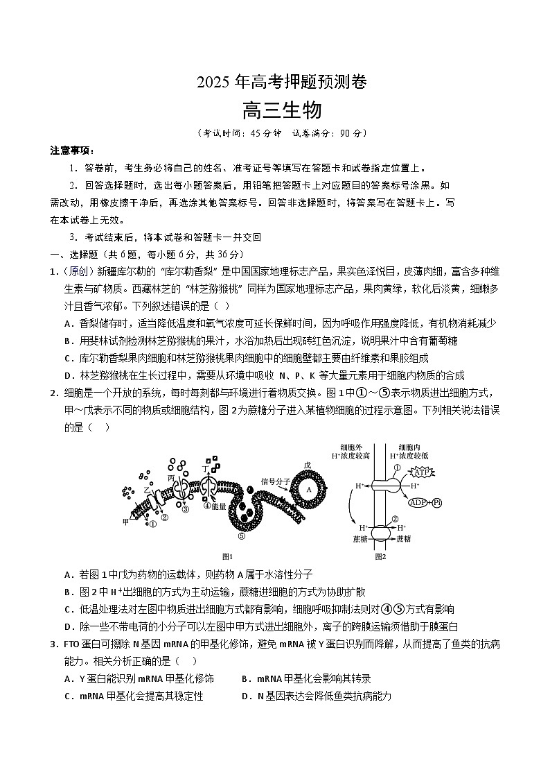 2025年高考押题预测卷：生物（全国卷01）（考试版）第1页