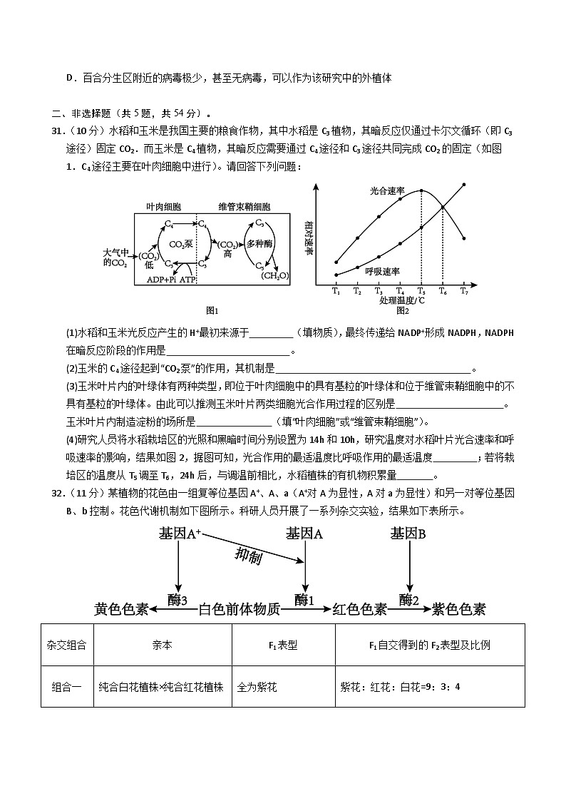 2025年高考押题预测卷：生物（全国卷01）（考试版）第3页