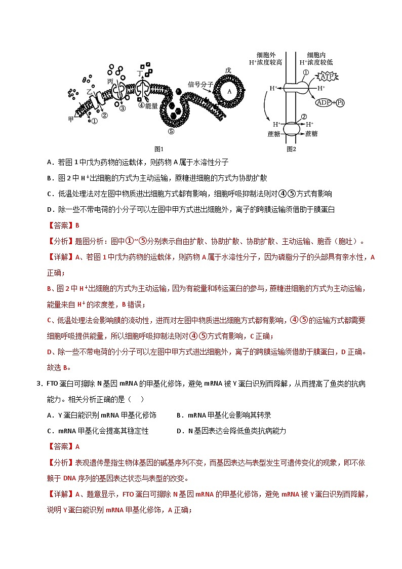 2025年高考押题预测卷：生物（全国卷01）（解析版）第2页