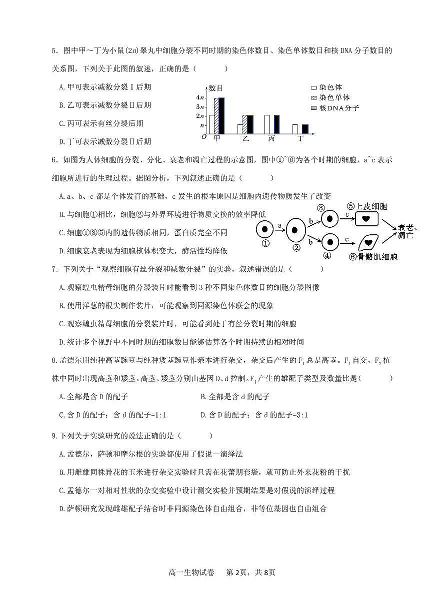 广东省深圳市坪山区聚龙科学中学2024-2025学年高一下学期第二次段考生物试题第2页