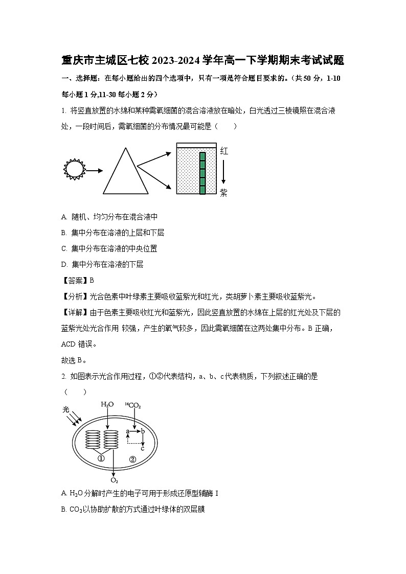 重庆市主城区七校2023-2024学年高一下学期期末考试生物试题（解析版）第1页