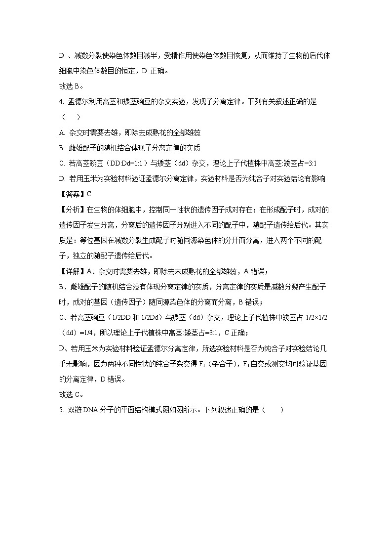 重庆市主城区七校2023-2024学年高一下学期期末考试生物试题（解析版）第3页