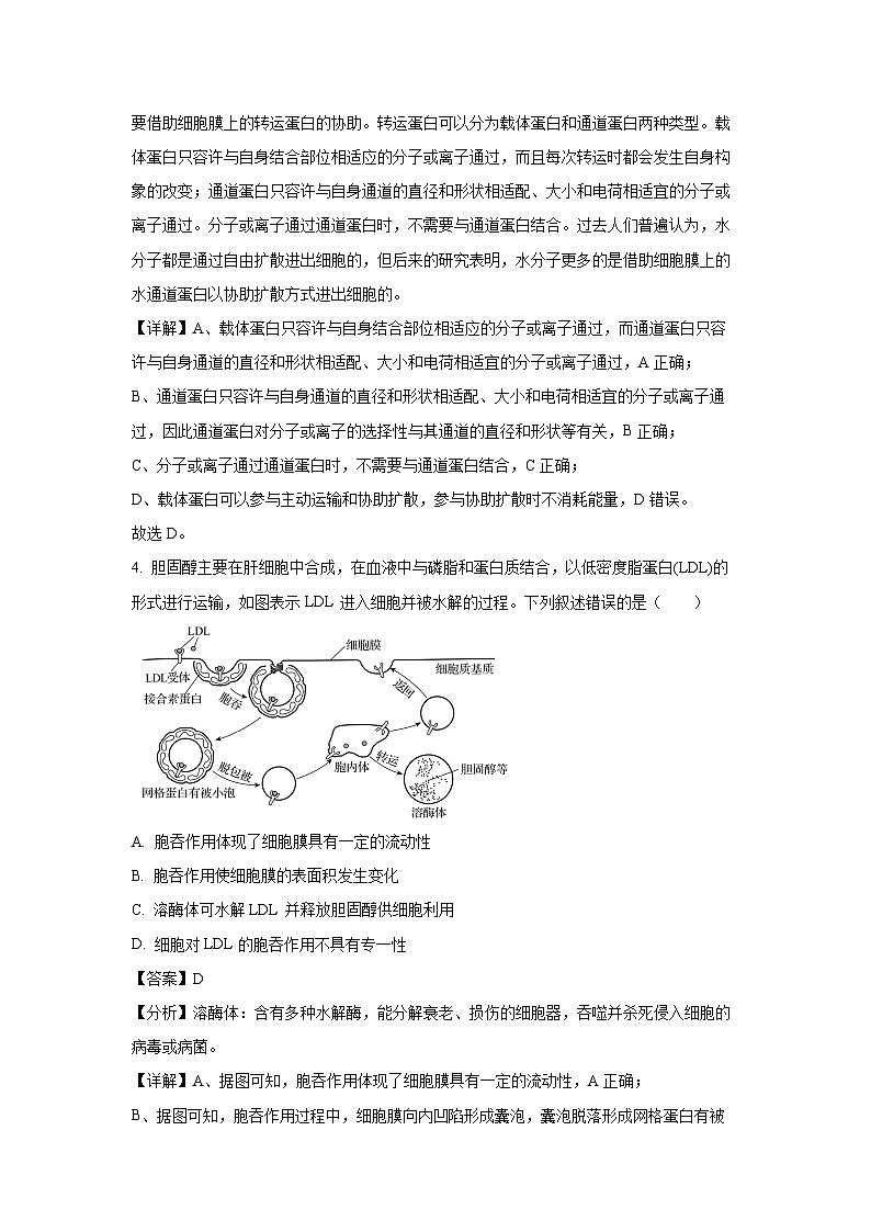 山东省齐鲁名校2024-2025学年高三下学期联考生物试卷（解析版）第3页