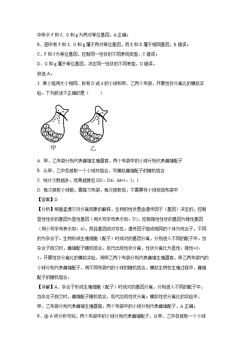 四川省眉山市东坡区两校2023-2024学年高一下学期6月期末联考生物试题（解析版）第2页