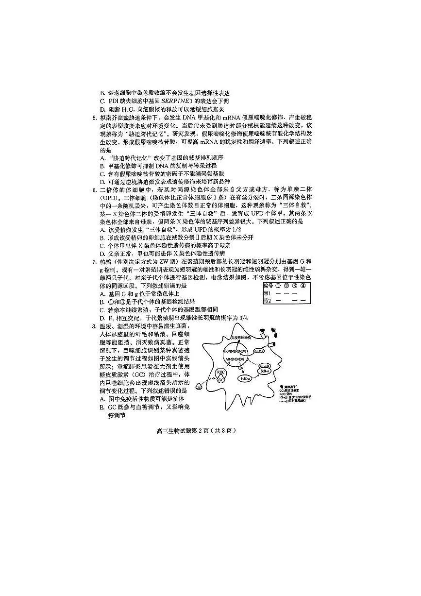 2024届山东省四县联考高三生物试卷（高考模拟）第2页