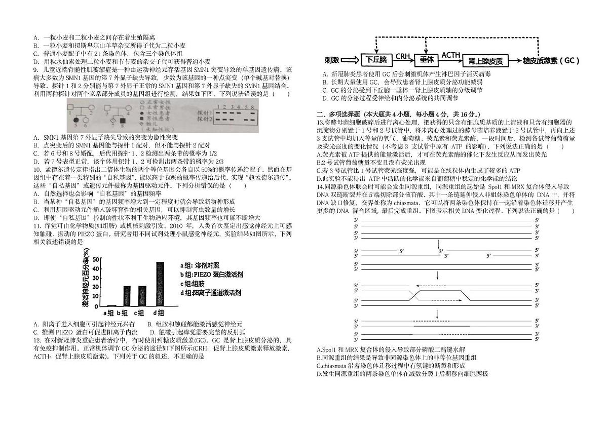 2025届江西省九江市九江第一中学高三下学期全真模拟考试生物试题（高考模拟）第2页