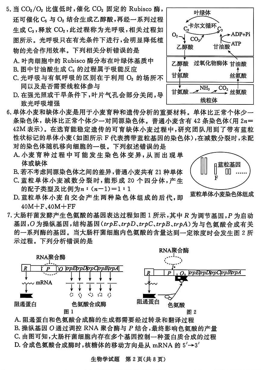 2025届山西省吕梁市高三第三次模拟考试生物试题（高考模拟）第2页