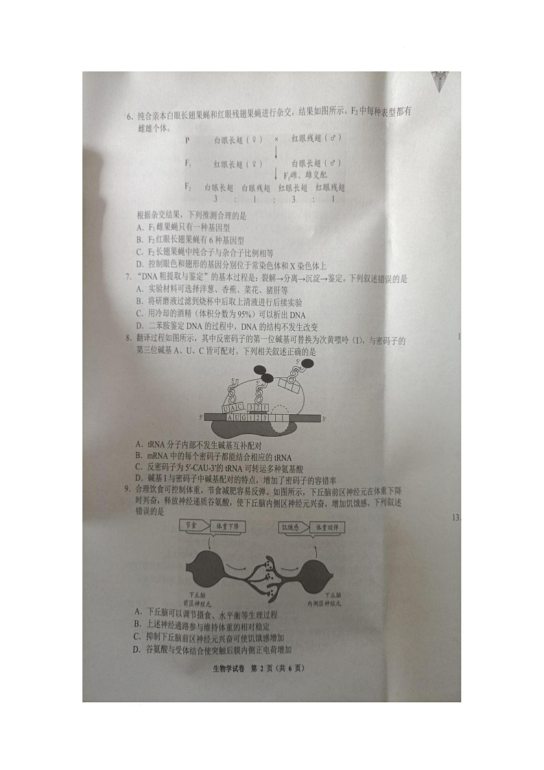 2025届贵州省毕节市高三下学期高考第四次适应性考试生物试题（高考模拟）第3页