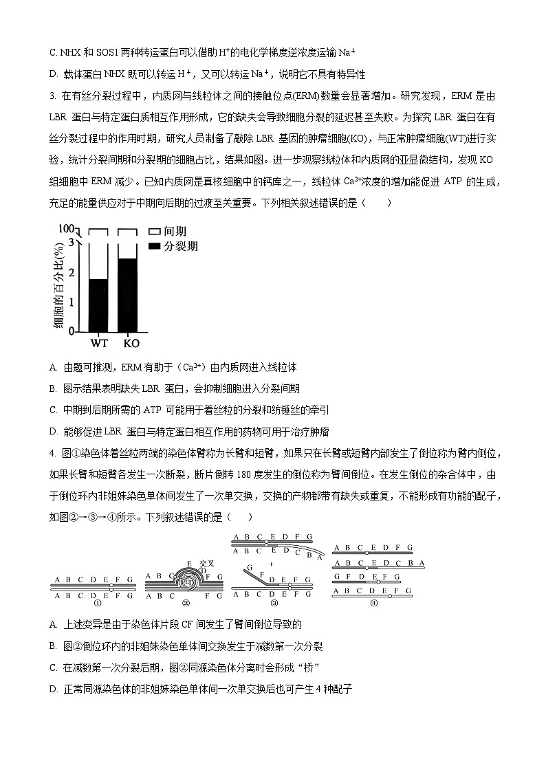 2025届山东省青岛市高三下学期第二次适应性检测生物试卷（高考模拟）第2页