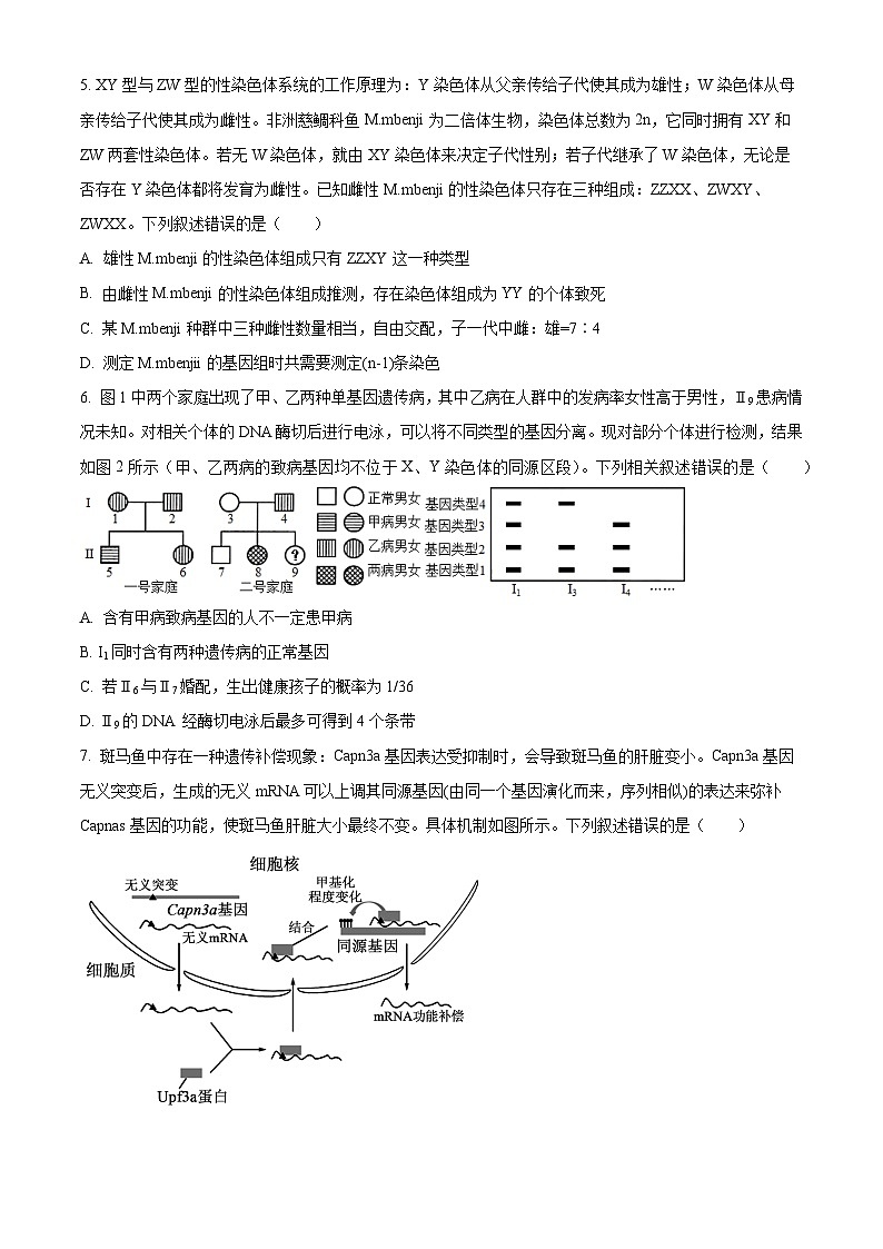 2025届山东省青岛市高三下学期第二次适应性检测生物试卷（高考模拟）第3页