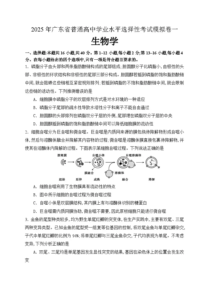 2025年广东省普通高中学业水平选择性考试生物模拟卷一（高考模拟）第1页