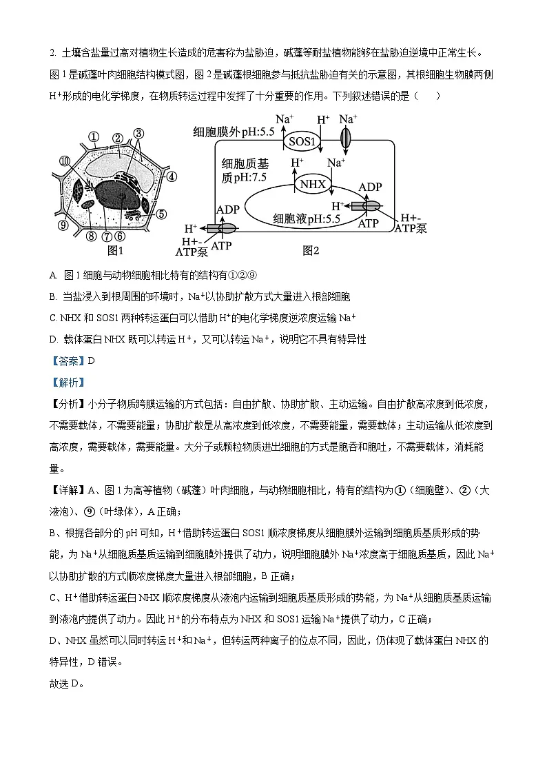 2025届山东省青岛市高三下学期第二次适应性检测生物试卷（解析版）第2页