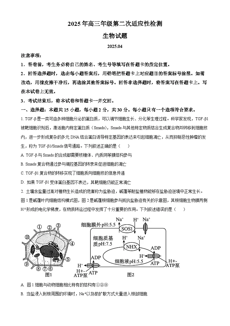 2025届山东省青岛市高三下学期第二次适应性检测生物试卷（原卷版）第1页