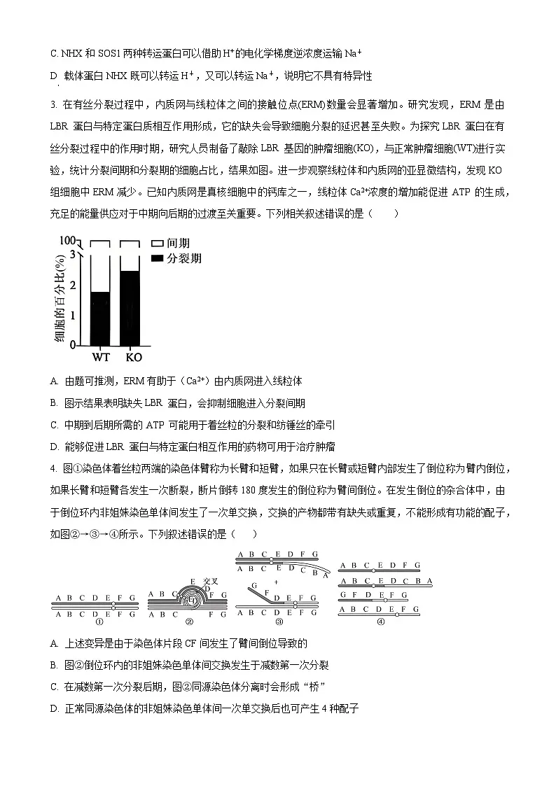 2025届山东省青岛市高三下学期第二次适应性检测生物试卷（原卷版）第2页