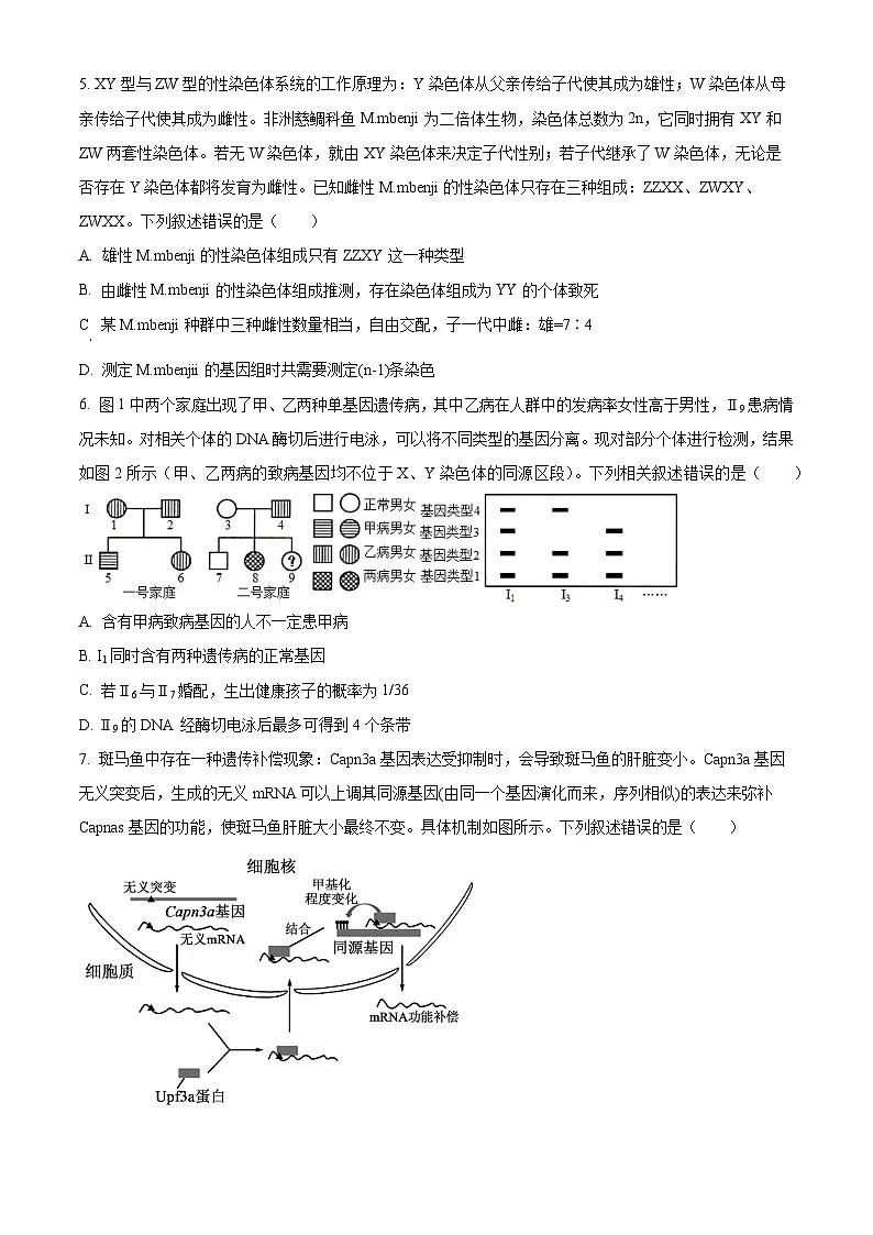 2025届山东省青岛市高三下学期第二次适应性检测生物试卷（原卷版）第3页
