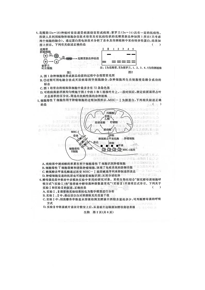 普集高中2025届高考第七次模拟考试生物试题 普集高中2025届高考第七次模拟考试生物试题第2页