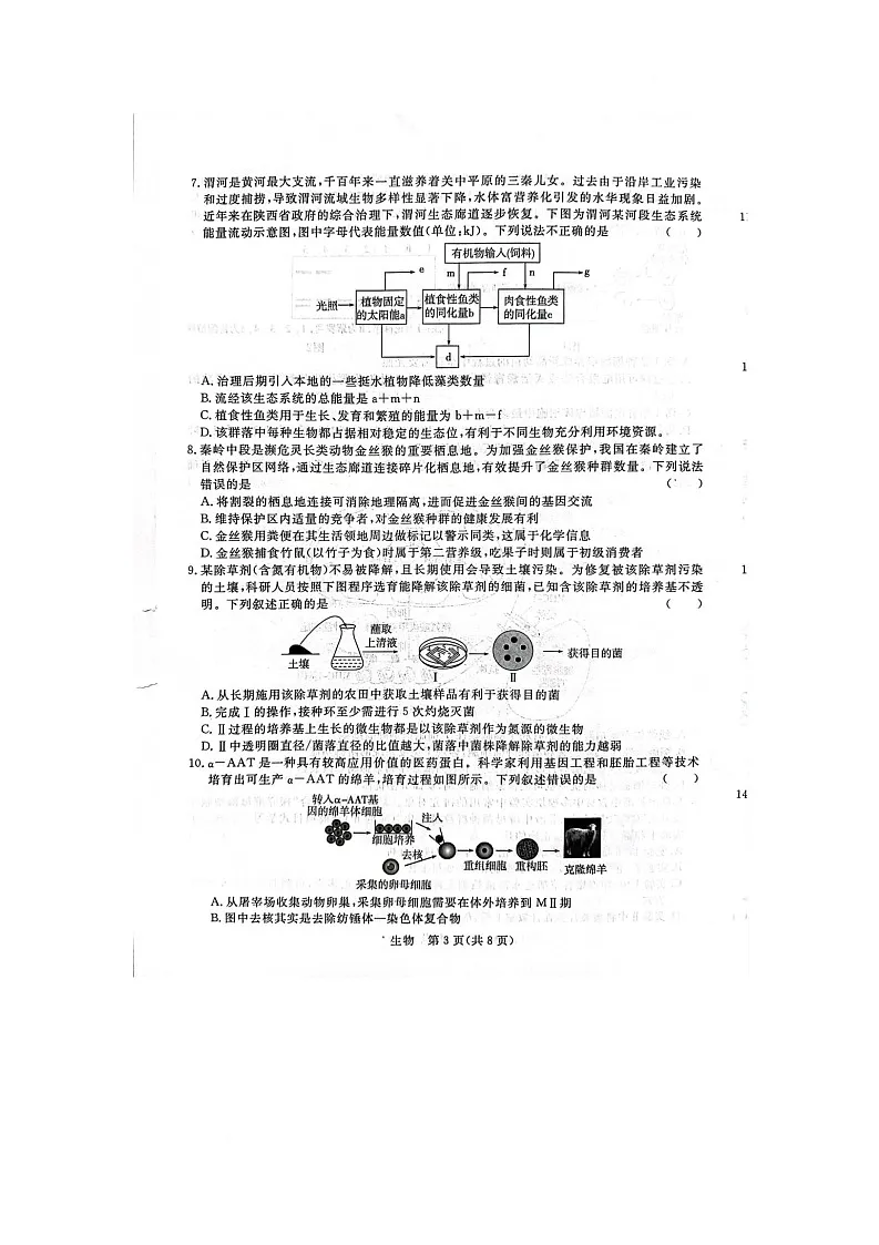普集高中2025届高考第七次模拟考试生物试题 普集高中2025届高考第七次模拟考试生物试题第3页