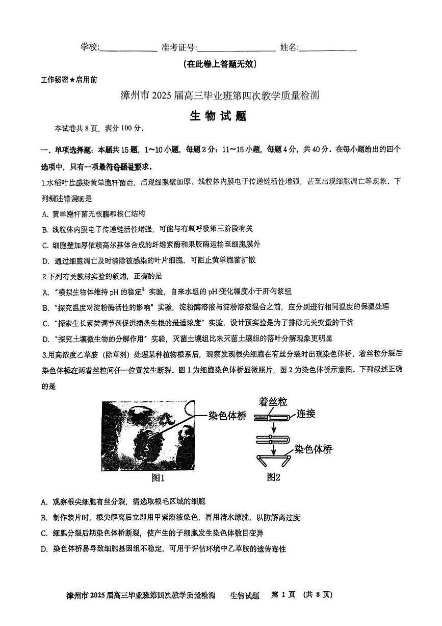 生物丨福建省漳州市2025届高三下学期5月毕业班第四次教学质量检测（漳州四检）试卷及答案第1页