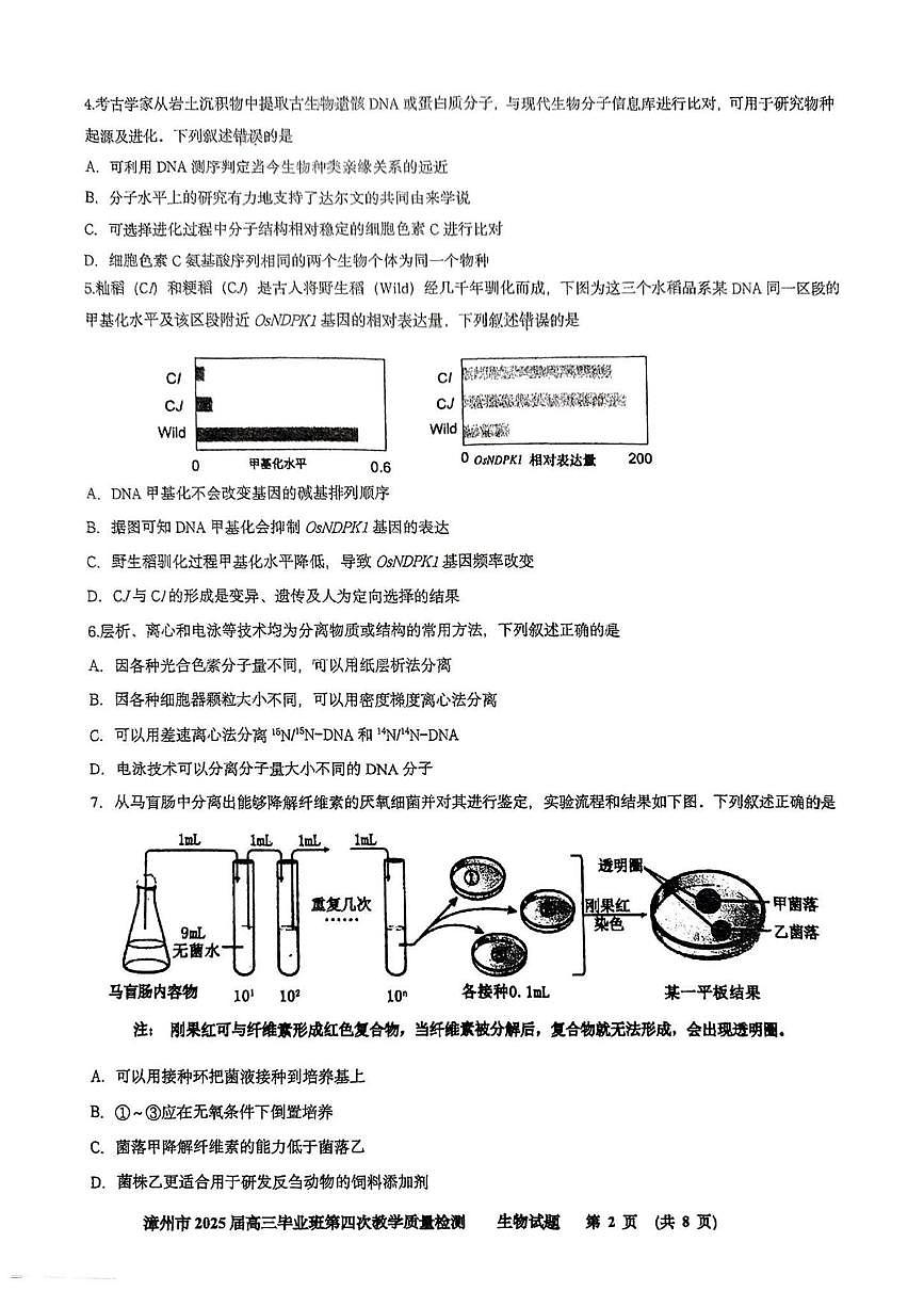 生物丨福建省漳州市2025届高三下学期5月毕业班第四次教学质量检测（漳州四检）试卷及答案第2页