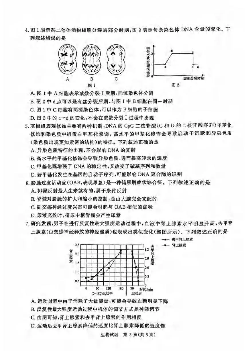 生物丨河南省2025届高三下学期5月考前适应性大联考试卷及答案第2页