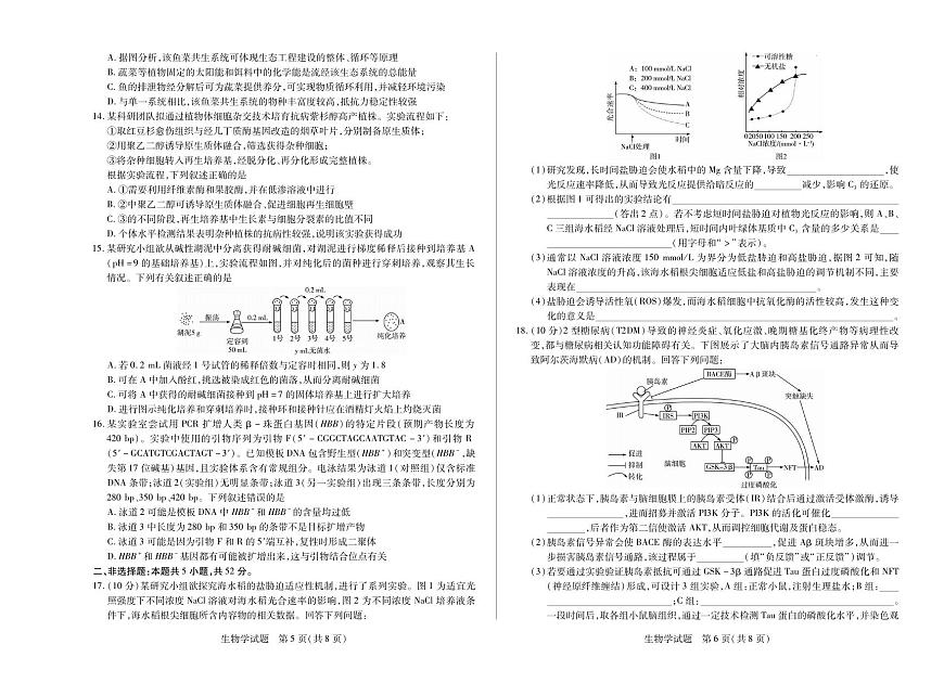 生物丨天一小高考2025届高三下学期5月第四次考试试卷及答案第3页