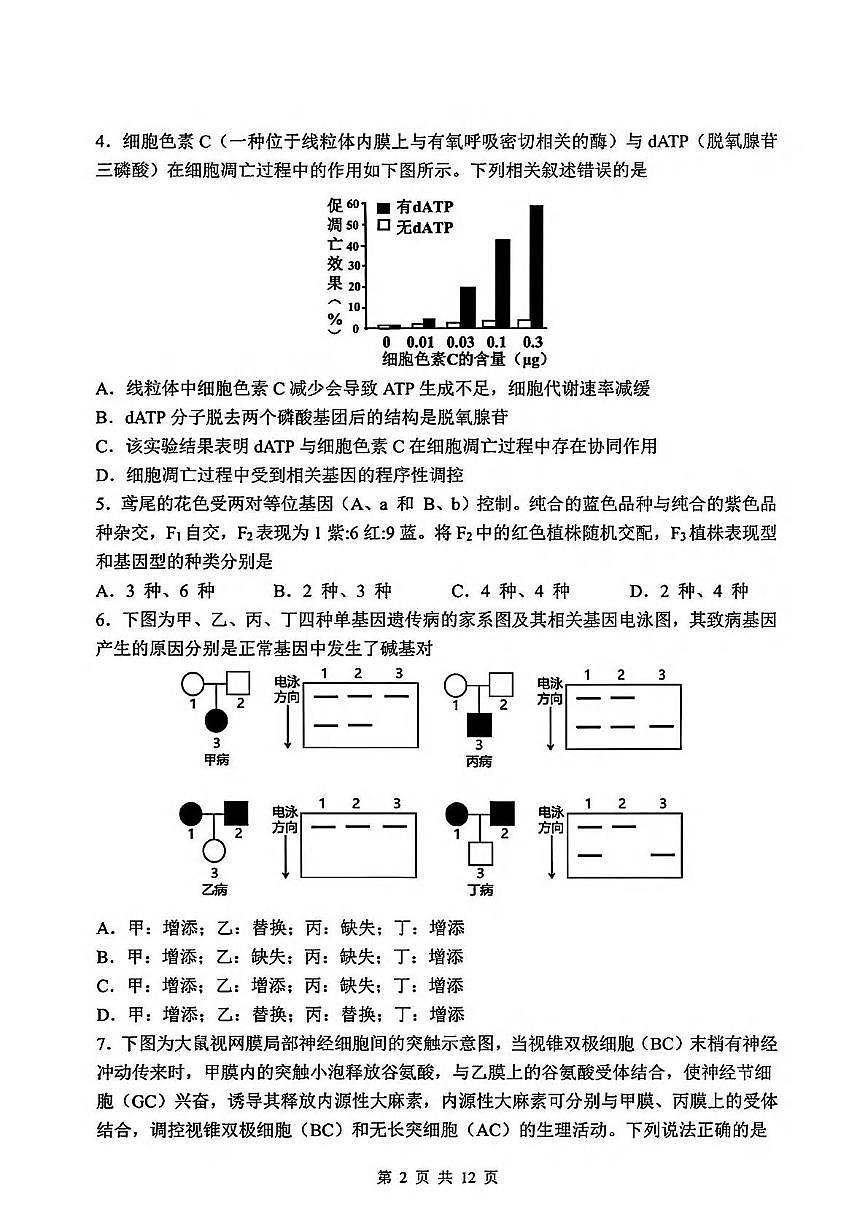 生物丨吉林省长春市东北师范大学附属中学高三下学期5月第四次模拟考试试卷及答案第2页