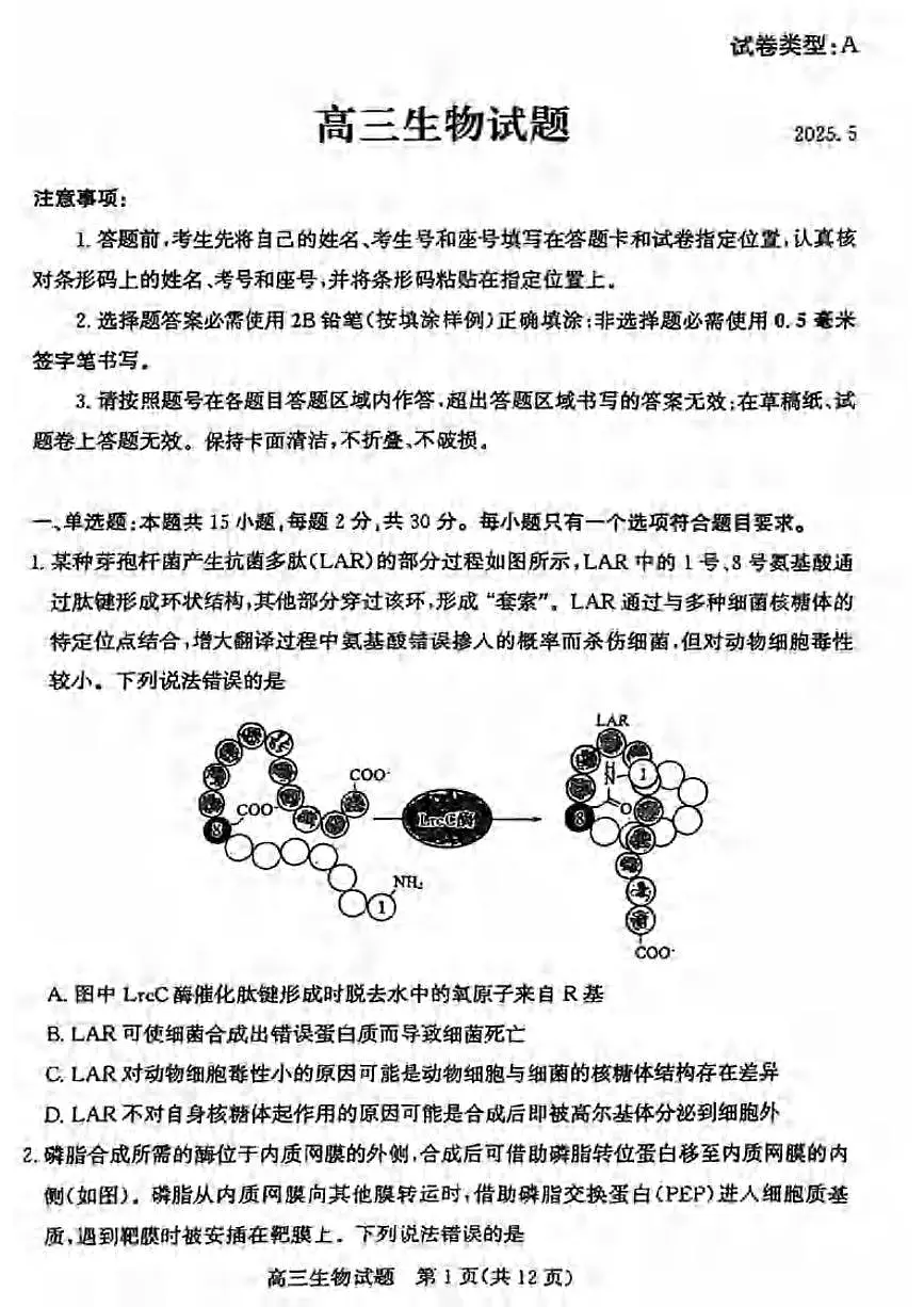 生物丨山东省滨州市2025届高三下学期5月第二次模拟试卷及答案第1页