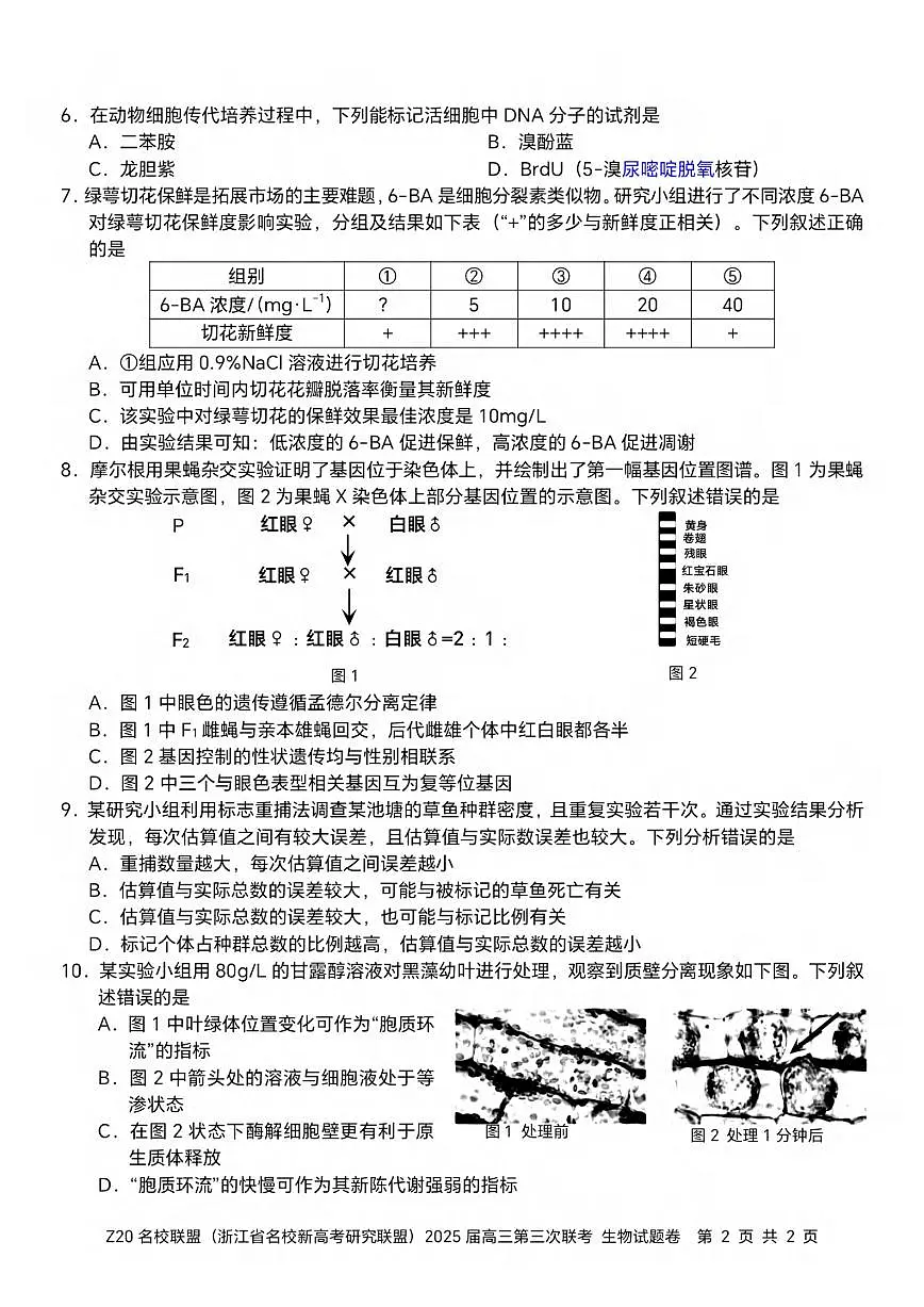 生物丨浙江省Z20联盟（浙江省名校新高考研究联盟）2025届高三下学期5月第三次联考试卷及答案第2页