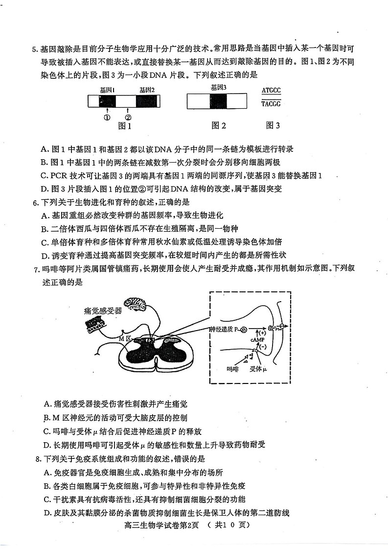 2025届江苏省南京市高三9月学情调研-生物试卷（含答案）第2页