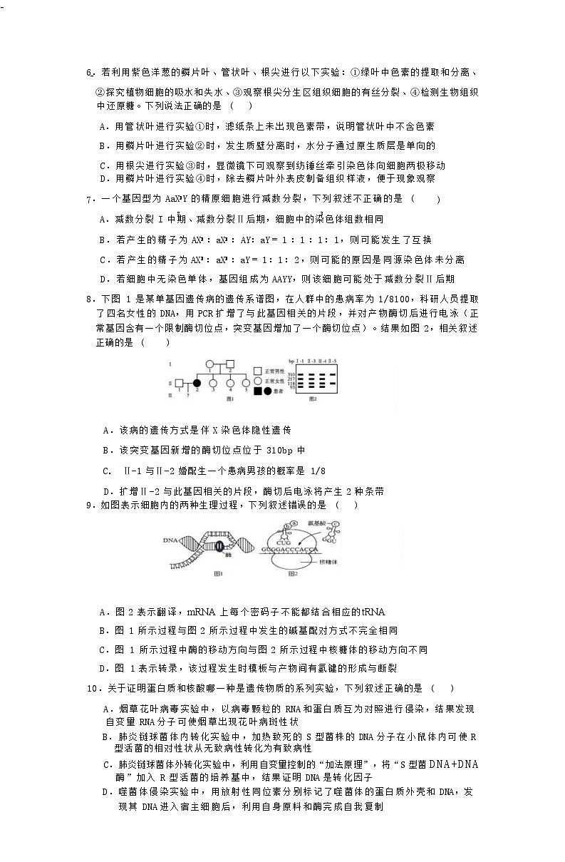 2025届江苏省如皋中学高三上学期期初考试-生物（含答案）第2页
