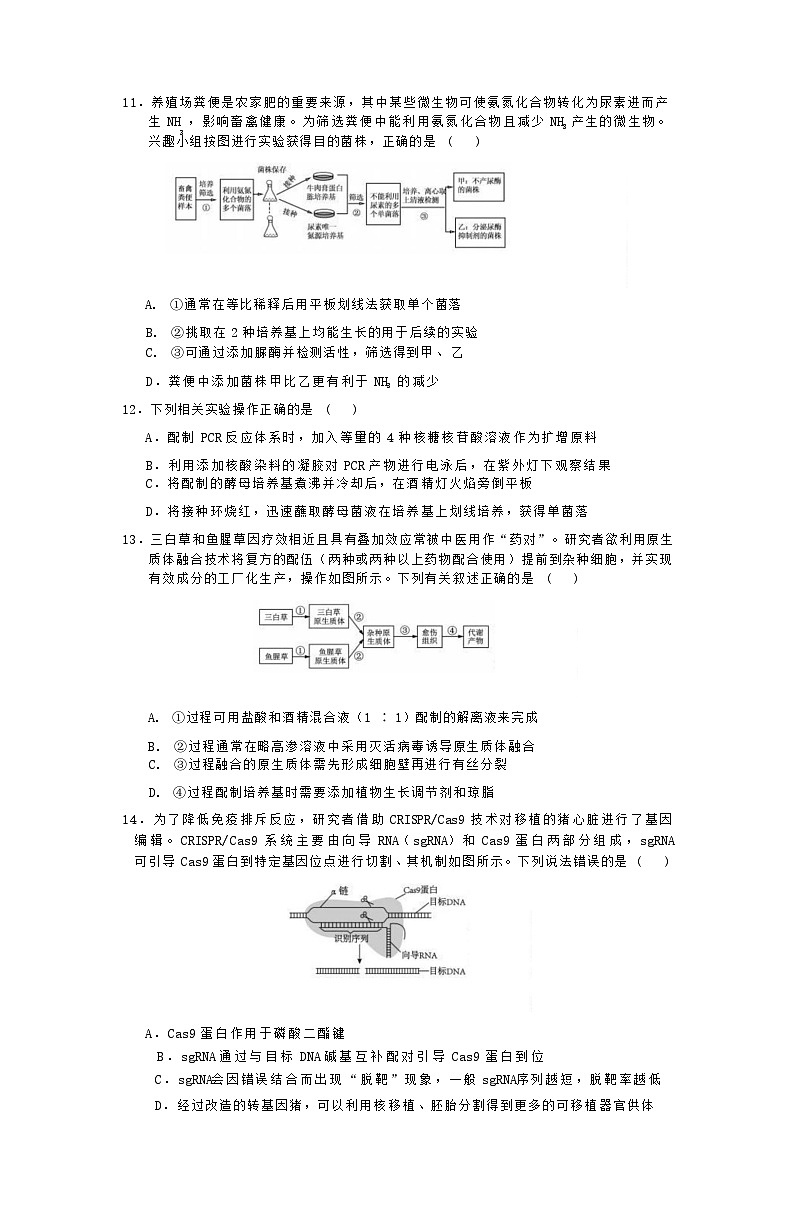 2025届江苏省如皋中学高三上学期期初考试-生物（含答案）第3页