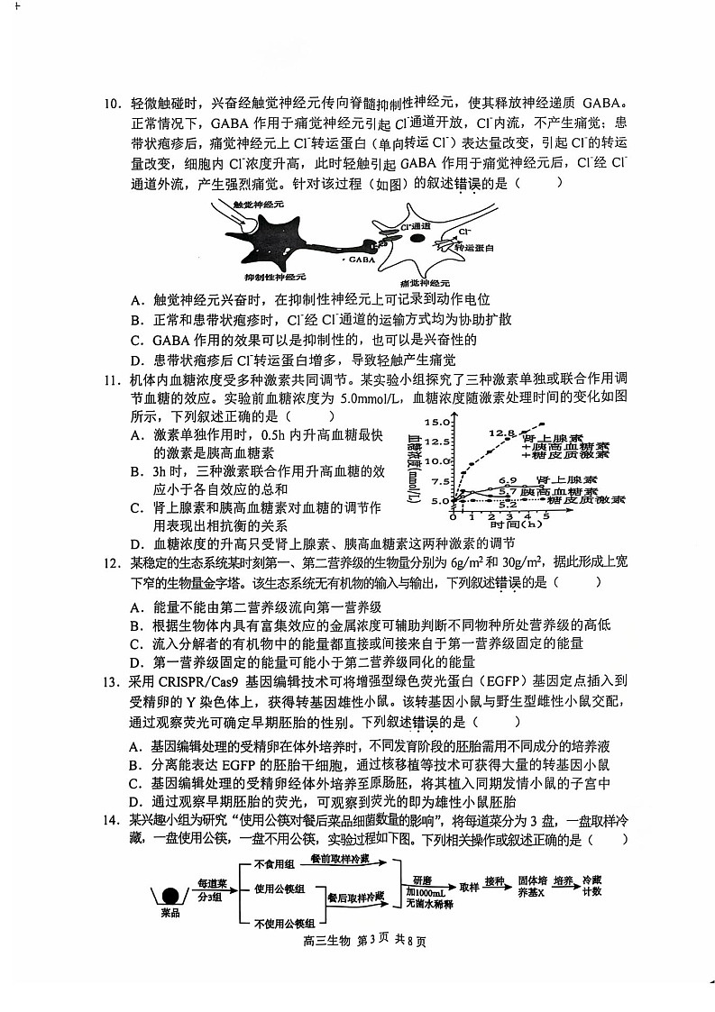 2025届江苏省苏州市高三9月期初阳光调研-生物试卷（含答案）第3页