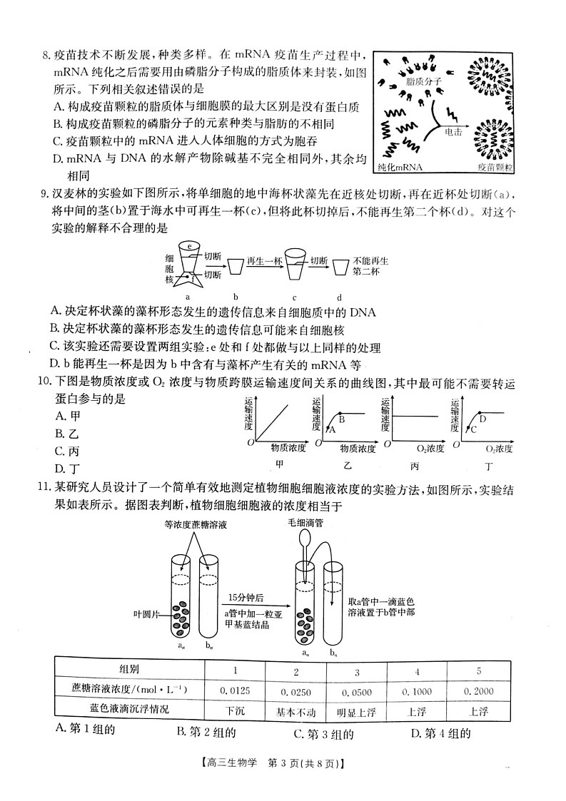 2025届山西省长治市高三9月质量检测-生物试卷（含答案）第3页