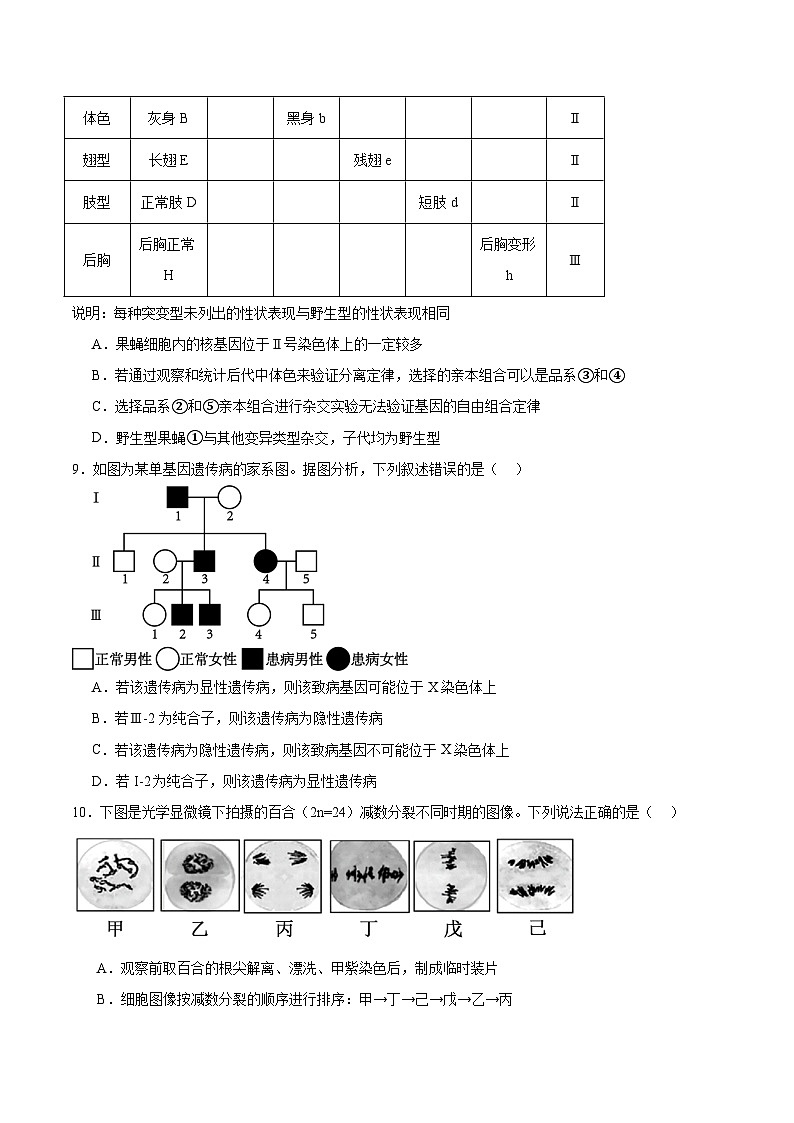 安徽省智学大联考·皖中名校联盟（合肥市第八中学）2024-2025学年高一下学期期中考试生物试题（Word版附答案）第3页