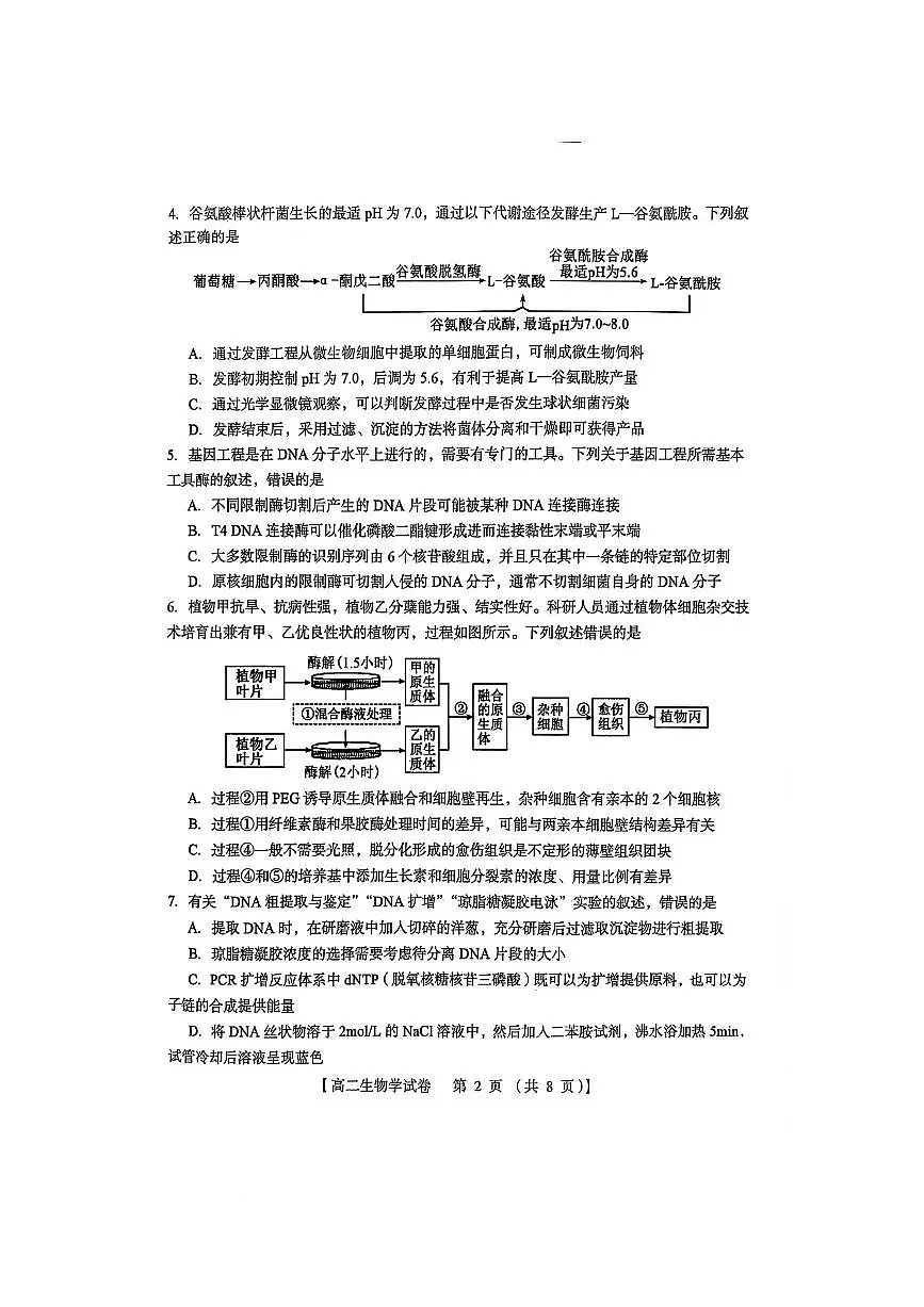 河南省三门峡市2024-2025学年高二下学期5月期末考试生物试题（PDF版附答案）第2页