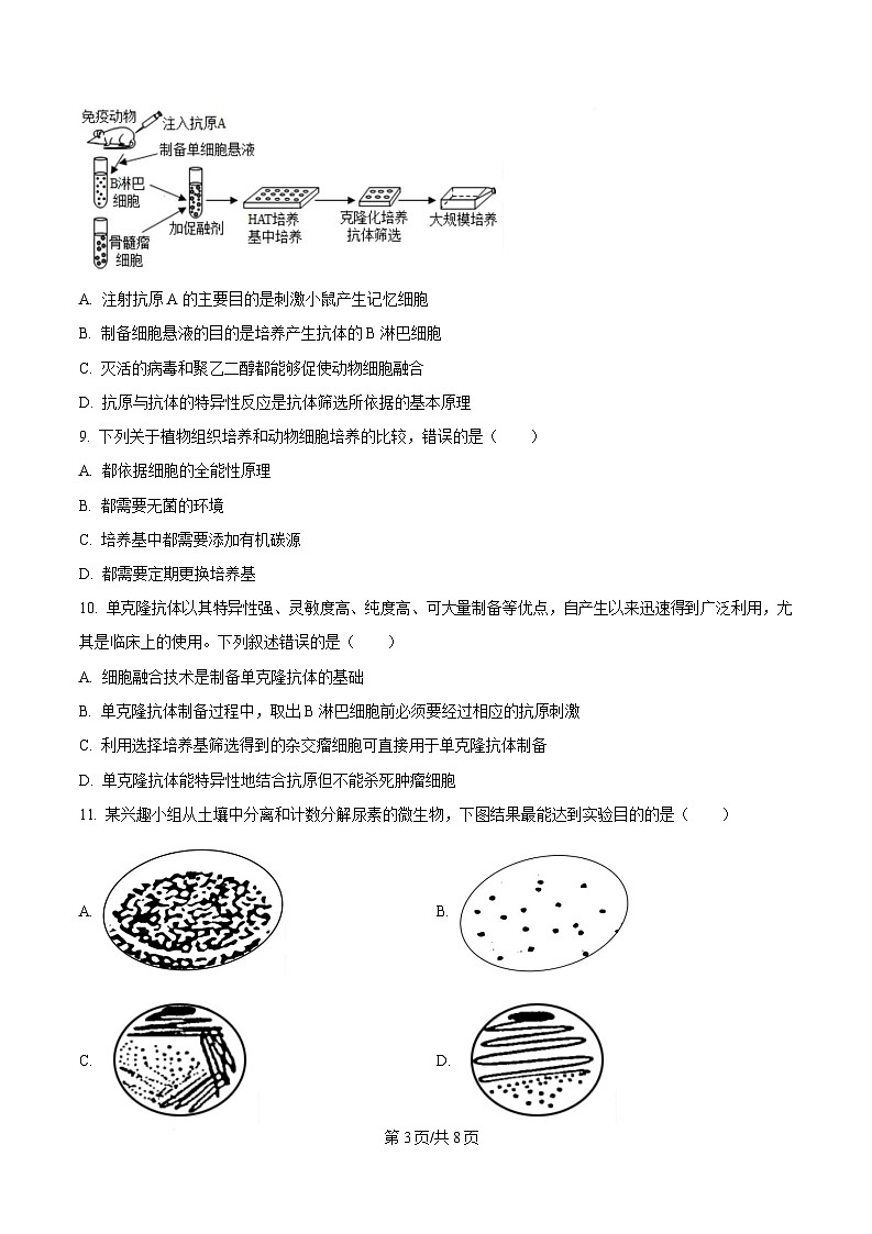 黑龙江省哈尔滨市南岗区哈尔滨市第七十三中学校2024-2025学年高二下学期4月月考生物试题（原卷版）第3页