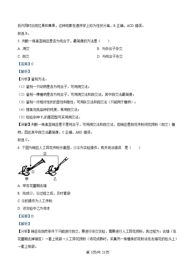 黑龙江省哈尔滨市南岗区哈尔滨市第七十三中学校2024-2025学年高一下学期4月月考生物试题 Word版含解析第3页
