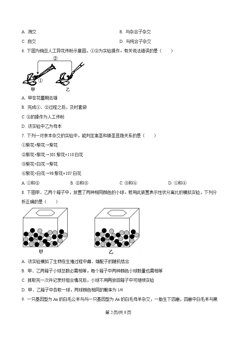 黑龙江省哈尔滨市南岗区哈尔滨市第七十三中学校2024-2025学年高一下学期4月月考生物试题（原卷版）第2页