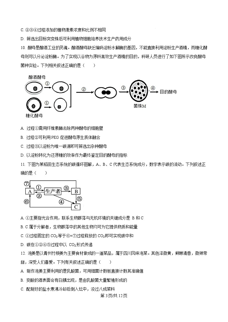 黑龙江省牡丹江市爱民区牡丹江市第一高级中学2024-2025学年高二下学期3月月考生物试题（原卷版）第3页