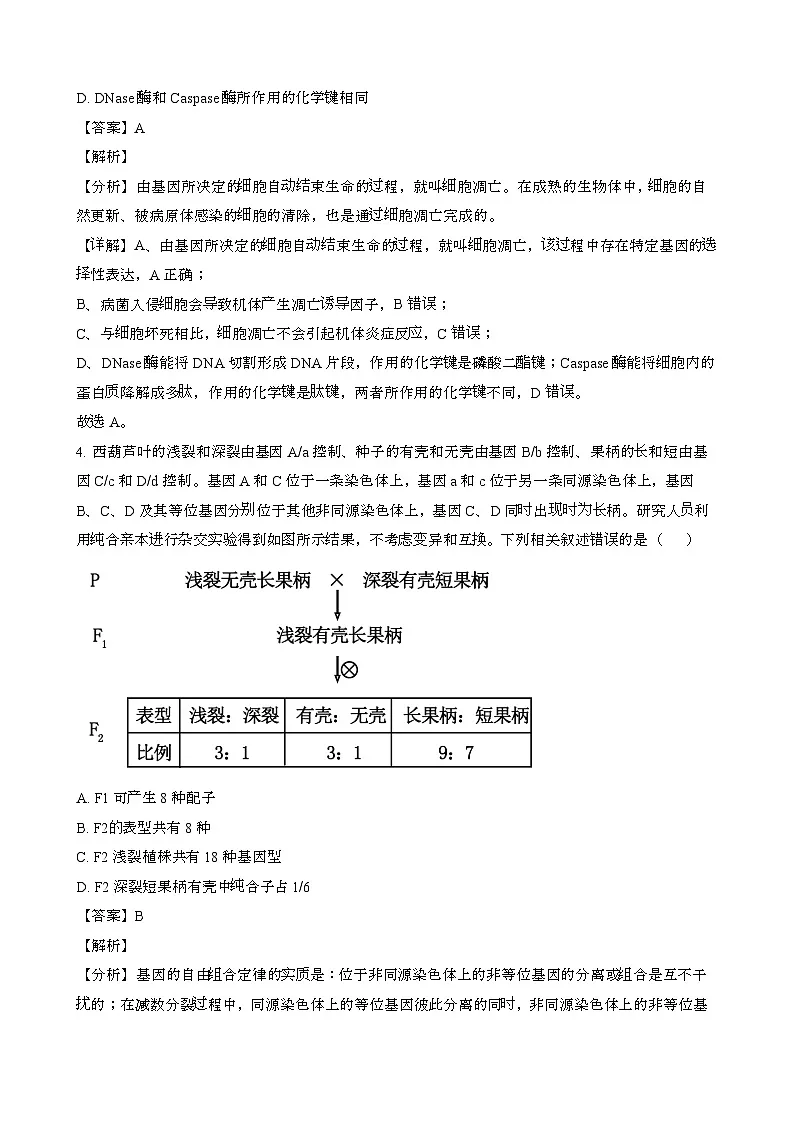 2024~2025学年湖北部分学校高二生物第二学期6月月考模拟试题[含答案}第3页