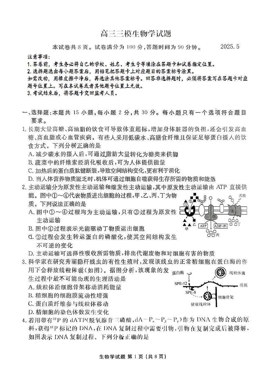 2025届山东省泰安市高三三模 生物试题+答案解析第1页