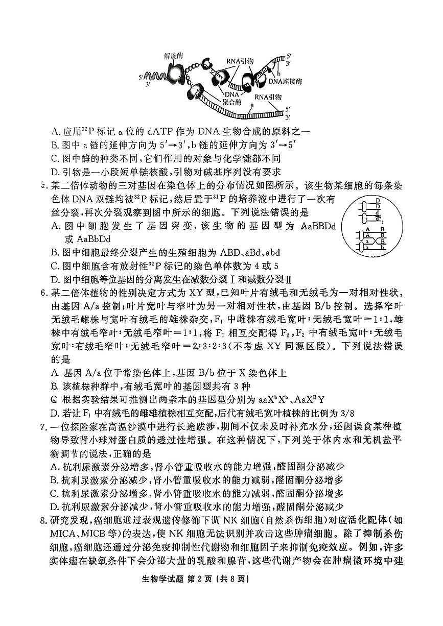 2025届山东省泰安市高三三模 生物试题+答案解析第2页