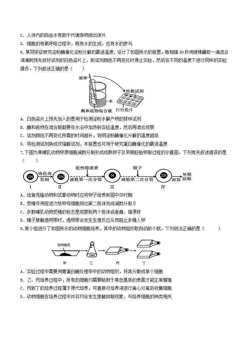 四川省内江市第六中学2024-2025学年高三上学期入学考试生物试题第2页