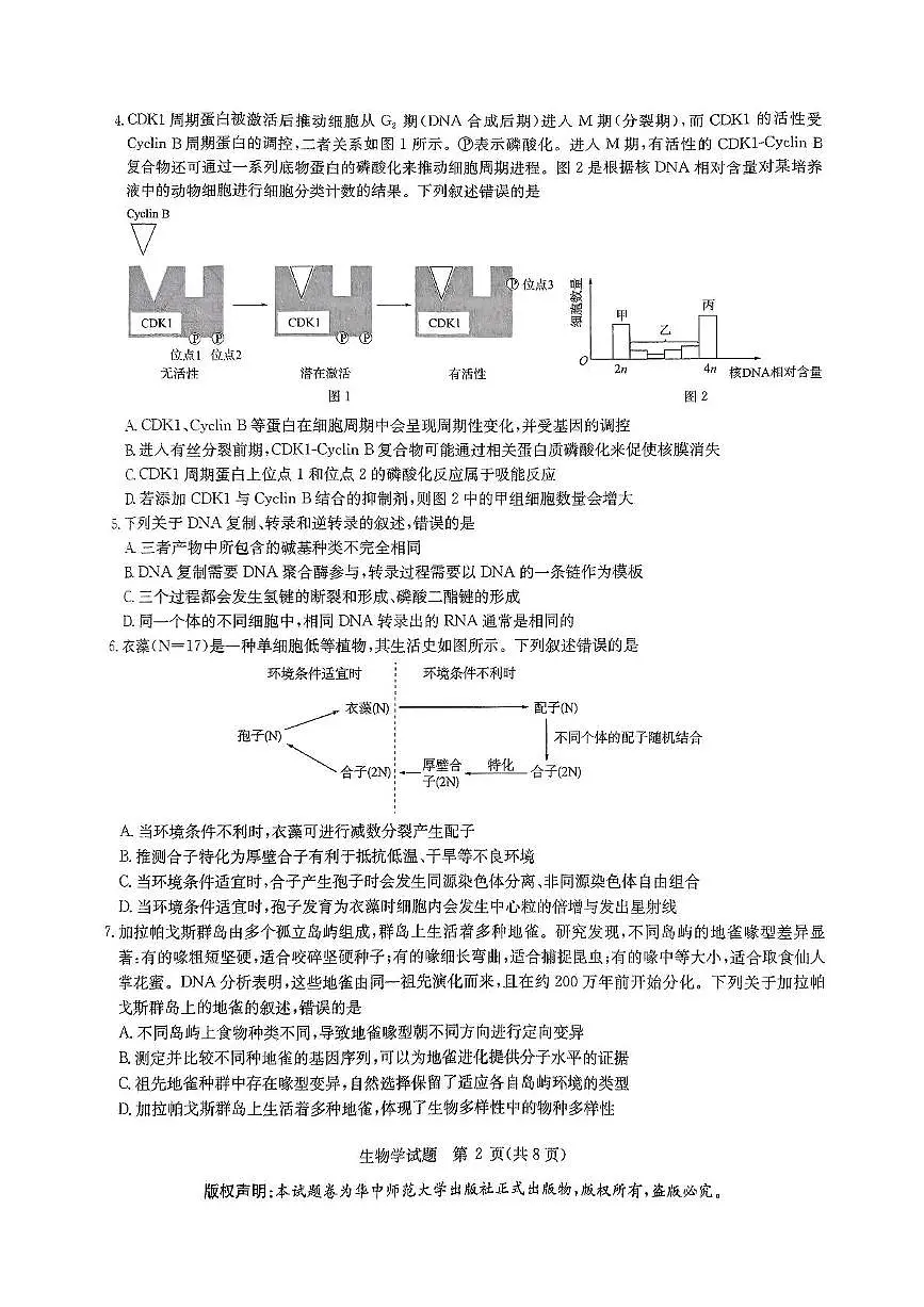 2025届华大新高考联盟高三下学期5月模拟预测生物试题（含答案）第2页